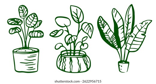 A set of line art illustrations featuring various indoor plants in flowerpots and botanical elements. Includes simple drawings in a minimalist style. Suitable for home decor and gardening concepts.