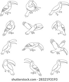 A set of line art illustrations featuring tukan birds in various dynamic poses, including flying, perched, and grooming, isolated on a clean white background.
