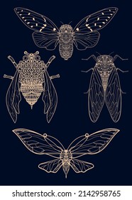 set of line art insects, cicada bee butterfly or nocturnal moth, gold ornament on dark blue background