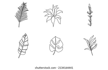 Juego de hojas de arte de línea. Resumen arte botánico mínimo. 