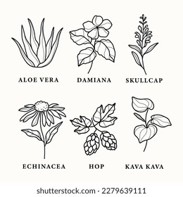 Set of line art medicinal plants and flowers