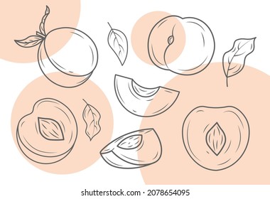 Set of line art peach. Collection of fruit pieces. Minimalistic pictures to decorate site. Vitamins, healthy food, fresh products. Cartoon flat vector illustrations isolated on white background