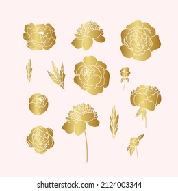 Set of line art peony flowers. Hand drawn Peonies for wedding invitations, cards, tattoos and your own design 