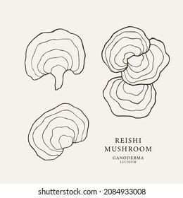 Set of line art reishi mushrooms