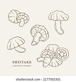 Set of line art shiitake mushrooms