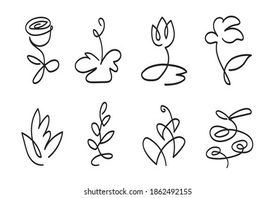 set of line art vector plant flower
