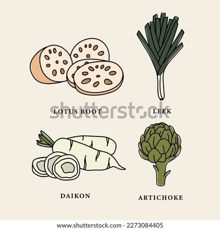 Set of line art vegetables and roots