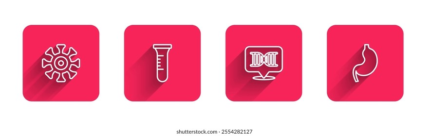 Set line Bacteria, Test tube and flask, DNA symbol and Human stomach with long shadow. Red square button. Vector