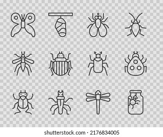 Set line Beetle bug, Spider in jar, Insect fly, Termite, Butterfly, Colorado beetle, Dragonfly and Ladybug icon. Vector