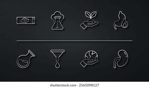 Set line Blood test and virus, Test tube flask, Stomach heartburn, Hand holding Earth globe, Funnel or filter, Chemical explosion, Human kidney and Plant hand icon. Vector