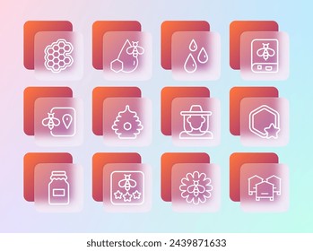 Set line Book about bee, Type of, Beekeeper with protect hat, on flower, Hive for bees, Drops honey, Honeycomb and and honeycomb icon. Vector