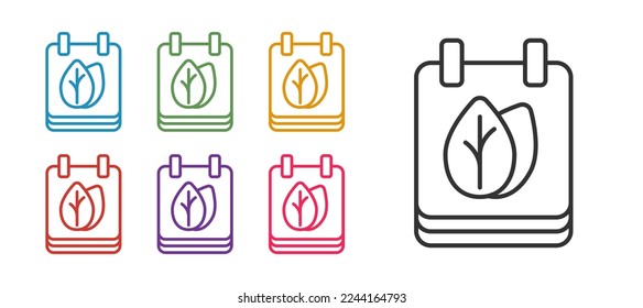 Set line Calendar with autumn leaves icon isolated on white background. Set icons colorful. Vector