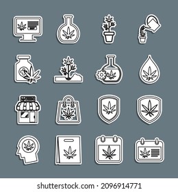 Set line Calendar and marijuana, Shield, Marijuana or cannabis leaf oil, plant in pot, Planting, Medical bottle with, Online buying and Test tube icon. Vector