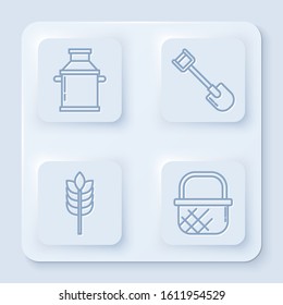 Set line Can container for milk, Shovel, Cereals with rice, wheat, corn, oats, rye and Shopping basket. White square button. Vector