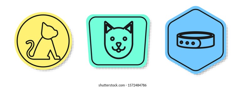 Set line Cat, Cat and Collar with name tag. Colored shapes. Vector