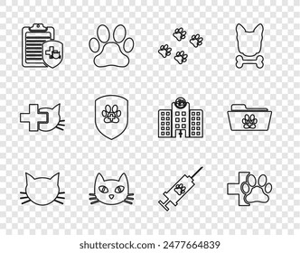 Set line Cat, Veterinary clinic, Paw print, Clinical record pet, Animal health insurance, Syringe with vaccine and Medical veterinary folder icon. Vector