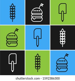 Set line Cereals with rice, wheat, corn, oats, rye, Spatula  and Burger  icon. Vector