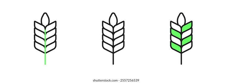 Set line Cereals set with rice, wheat, corn, oats, rye, barley icon isolated on white background. Ears of wheat bread symbols.  Vector