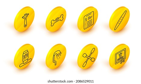 Set line Certificate for dog or cat, Cotton swab ears, Pet shower, Cat scratching post, Nail file pet, Grooming salon price list, Dog bone and Hair brush and icon. Vector