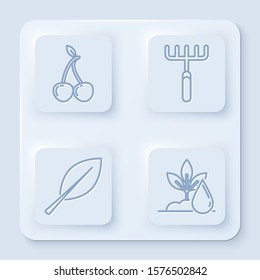 Set line Cherry, Garden rake, Leaf and Watering plant. White square button. Vector