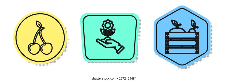 Set line Cherry, Hand holding flower and Wooden box for fruits and vegetables. Colored shapes. Vector
