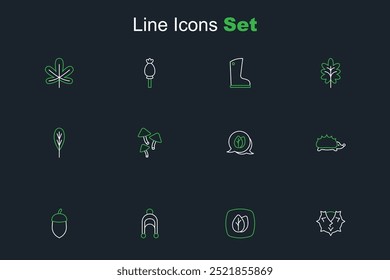 Set line Chestnut, Leaf, Acorn, Hedgehog, Mushroom and  icon. Vector