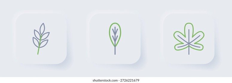 Establecer línea de hoja de castaño, hoja e icono. Vector