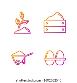 Set line Chicken egg in box, Wheelbarrow with dirt, Sprout and Wooden box with harvest. Gradient color icons. Vector