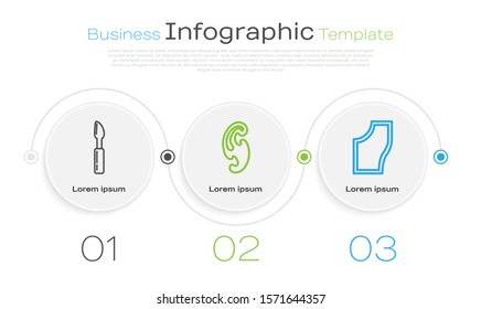 Set line Cutter tool, French curves and Sewing Pattern. Business infographic template. Vector