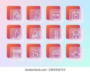 Fijar línea Plan Dietético, Magnesio, Smart watch with heart, Salad in bowl, Palm free, Kcal, intolerancia a la lactosa e icono de salud del estómago humano. Vector