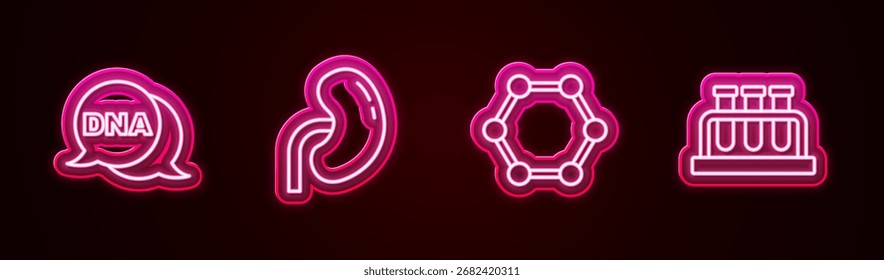 Símbolo de ADN de línea fija, riñón humano, molécula y tubo de ensayo y matraz. Icono de neón brillante. Vector