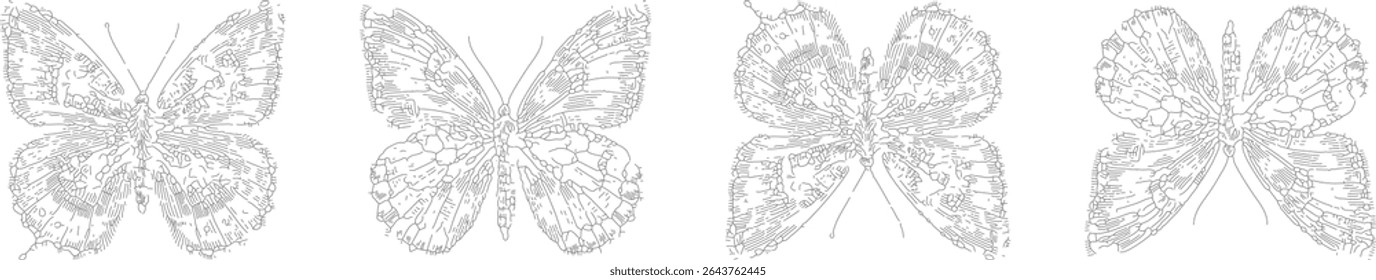 Conjunto de desenhos vetoriais de desenho de linha com detalhados borboleta asas espalhadas, desenho contorno preto intrincado, elegante inspirado na natureza
