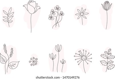 Set of line drawing flowers, nature plants hand drawn, pink background, pastel colors, vector flowers