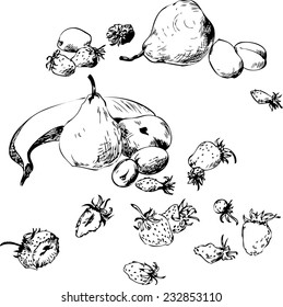 set of line drawing fruits, ink drawn vector illustration