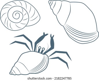 Dibujo de líneas ilustraciones de criaturas costeras, moluscos, conchas, cangrejos ermitaños