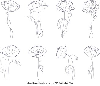 Set of line drawing poppy flowers. Collection of sketch flowers. Minimalist Prints Set. Vector