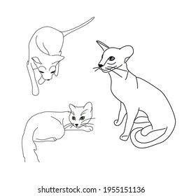 Set of line drawings of cats in different poses: sitting, lying, walking