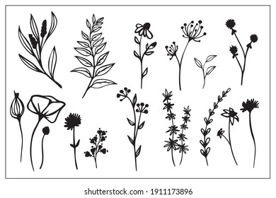 set of line drawings of herbs, leaves, flowers of berries, black and white graphics