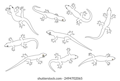 A set of line drawings of house lizards. For reptile design. Vector