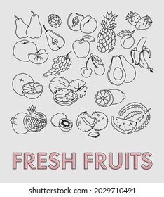 Set of line drawn fruits. Vector.