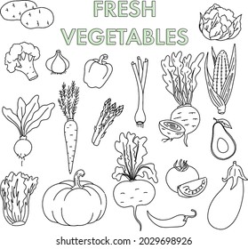 Set of line drawn vegetables. Vector.