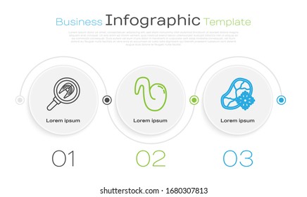 Set line Fish steak in frying pan, Fried chicken wing and Fresh frozen steak meat. Business infographic template. Vector