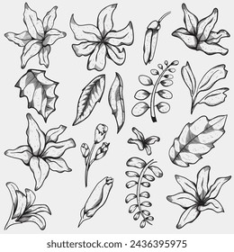 set line floral, vintage flower drawing suitable for vector design elements, wallpaper, wall art, patterns and backgrounds