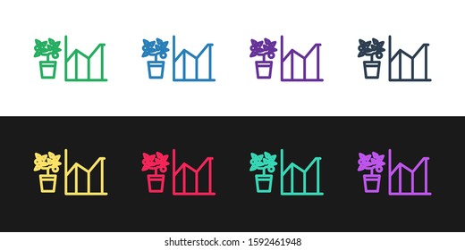 Set line Flower statistics icon isolated on black and white background.  Vector Illustration