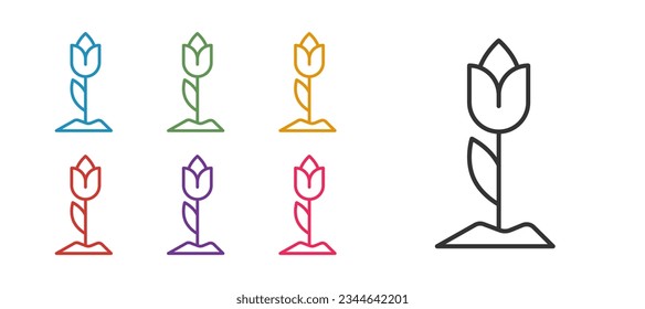 Set line Flower Tulpensymbol Symbol einzeln auf weißem Hintergrund. Stellen Sie die Symbole bunt ein. Vektorgrafik