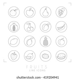 Set of line Fruit icons in outline circles. Flat style. Orange, apple, pear, grape, pomegranate, cherry, apricot, banana, lemon, plum, pineapple, peach, watermelon, kiwi, melon, strawberry.