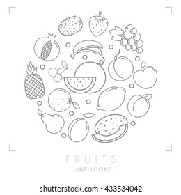 Set of line Fruit infographic icons.  Kiwi, strawberry, grape, banana, apricot, pomegranate, watermelon, apple, lemon, pear, peach, orange, melon.