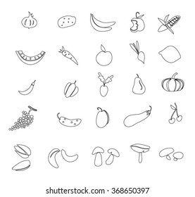 Set of  line fruit, mushrooms, nuts  and vegetable icons.Thin line hand draw vegetables and fruits isolated on white background. Vector vegetable and fruit.
