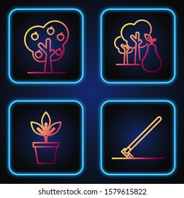 Set line Garden rake in work, Flowers in pot, Tree with apple and Tree with pears. Gradient color icons. Vector