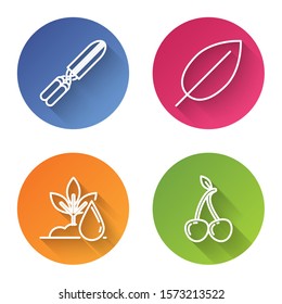 Set line Gardening handmade scissors for trimming, Leaf, Watering plant and Cherry. Color circle button. Vector